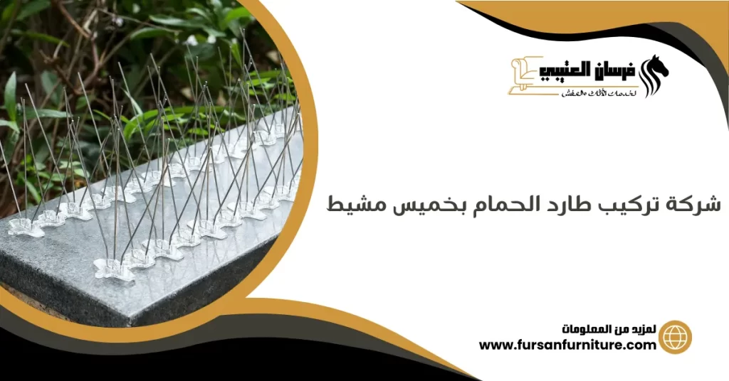 شركة تركيب طارد الحمام بخميس مشيط